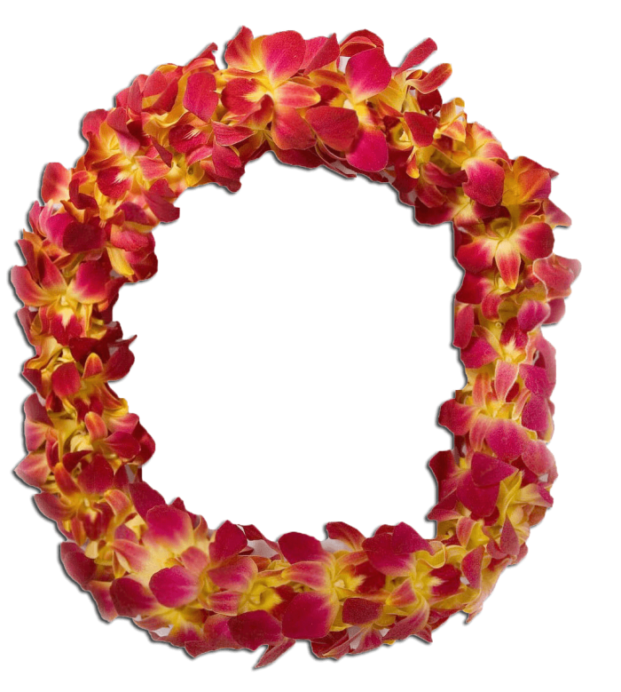 Double Orchid Maroon Lei (STANFORD)